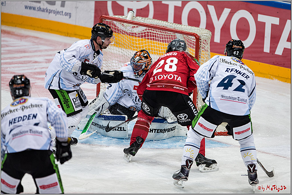 Koelner Haie - Straubing Tigers, 03.10.2016